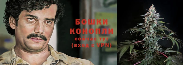 метадон Белокуриха