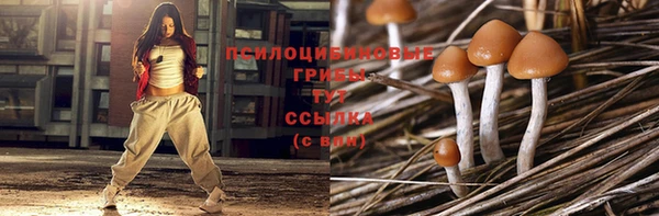 метадон Белокуриха
