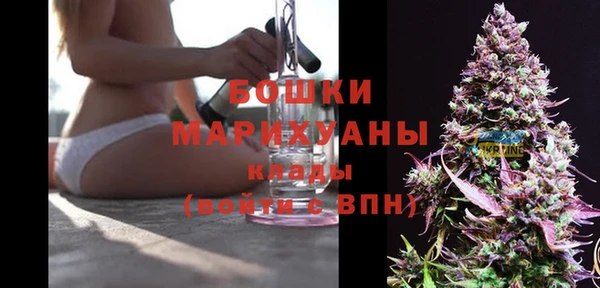 метадон Белокуриха