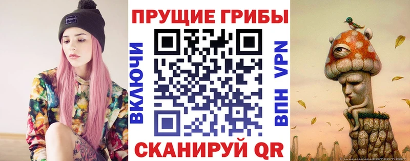 где купить   Полесск  Псилоцибиновые грибы мицелий 
