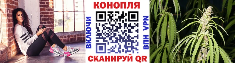 Бошки Шишки MAZAR  Полесск 
